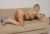 ANKARA ESCORT ATEŞLİ VE ŞEHVETLİ MELİSA - Resim7