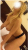 ÇANKAYA ESCORT BAYAN OTELE GELEN ADA - Resim2